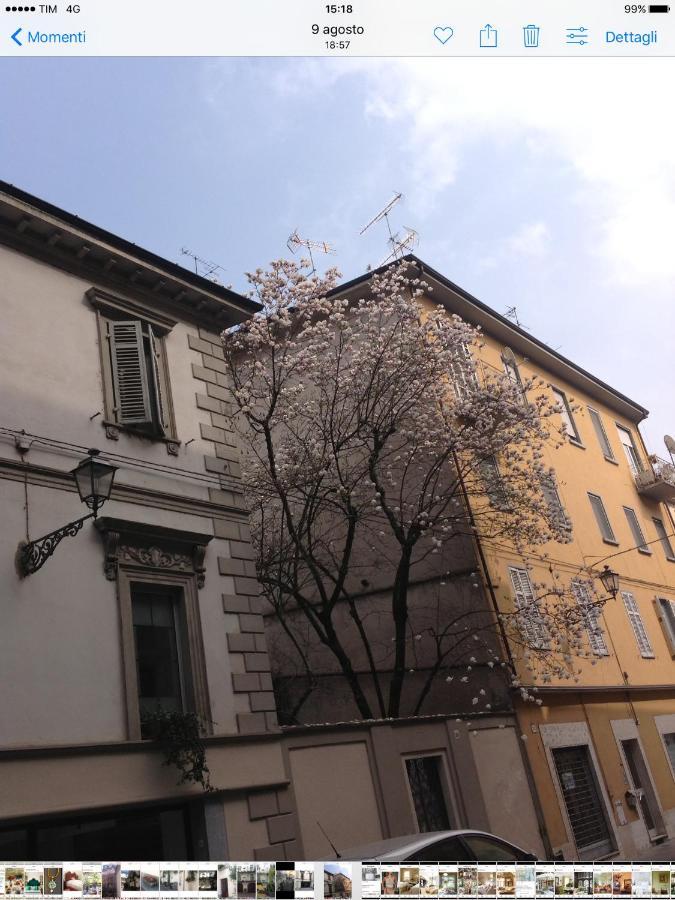 Magnolia Bed and Breakfast Καζάλε Μονφερράτο Εξωτερικό φωτογραφία