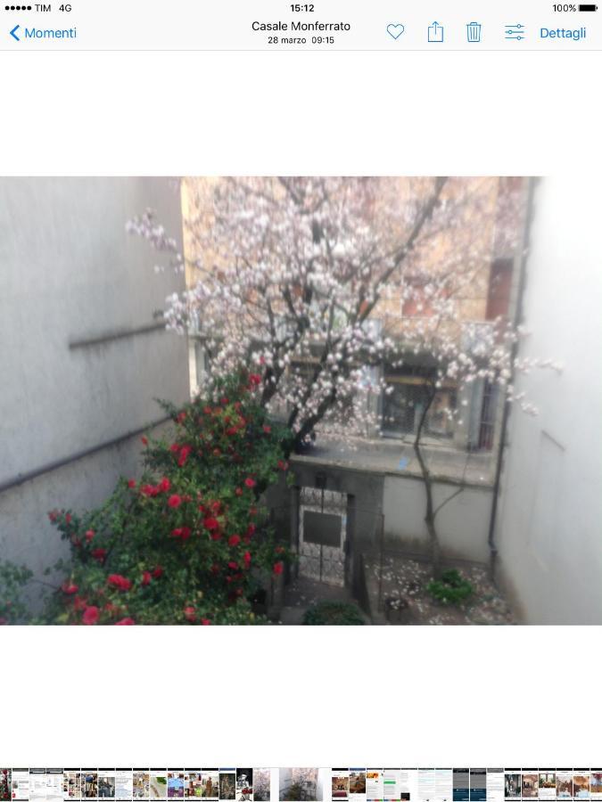 Magnolia Bed and Breakfast Καζάλε Μονφερράτο Εξωτερικό φωτογραφία